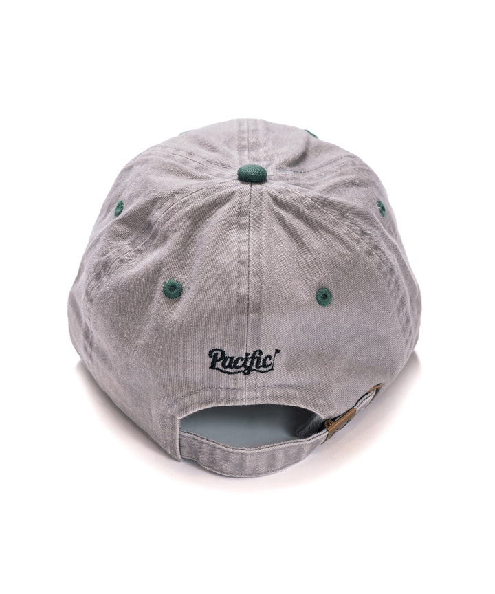 SURFER 6 PANEL PIGMENT DYED TWO TONE CAP GREY & GREEN