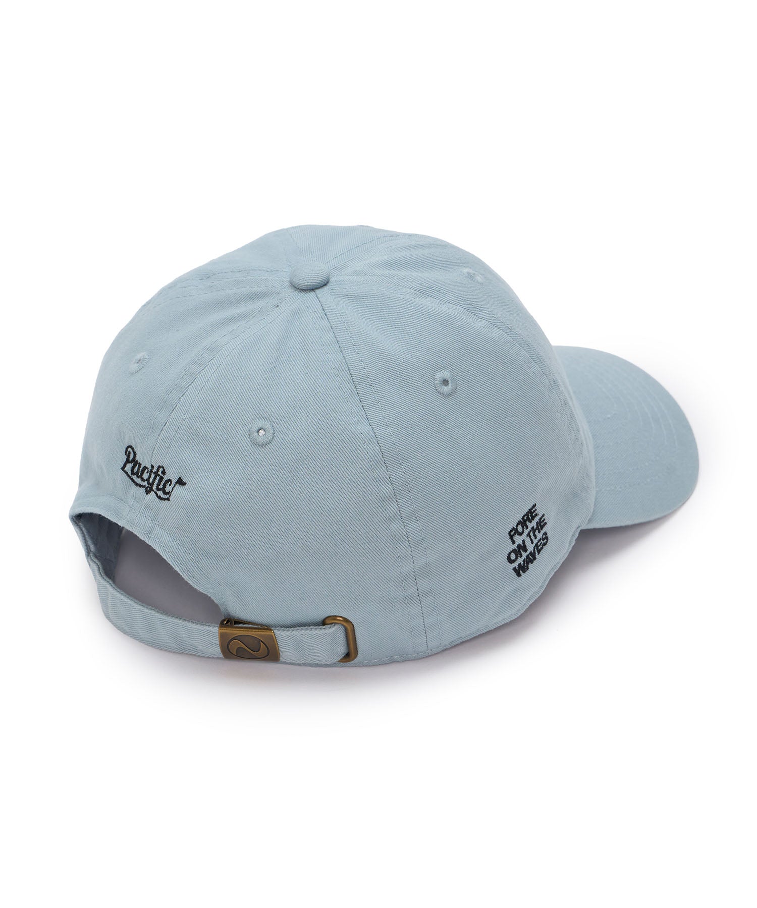 SURFER 6 PANEL CAP 