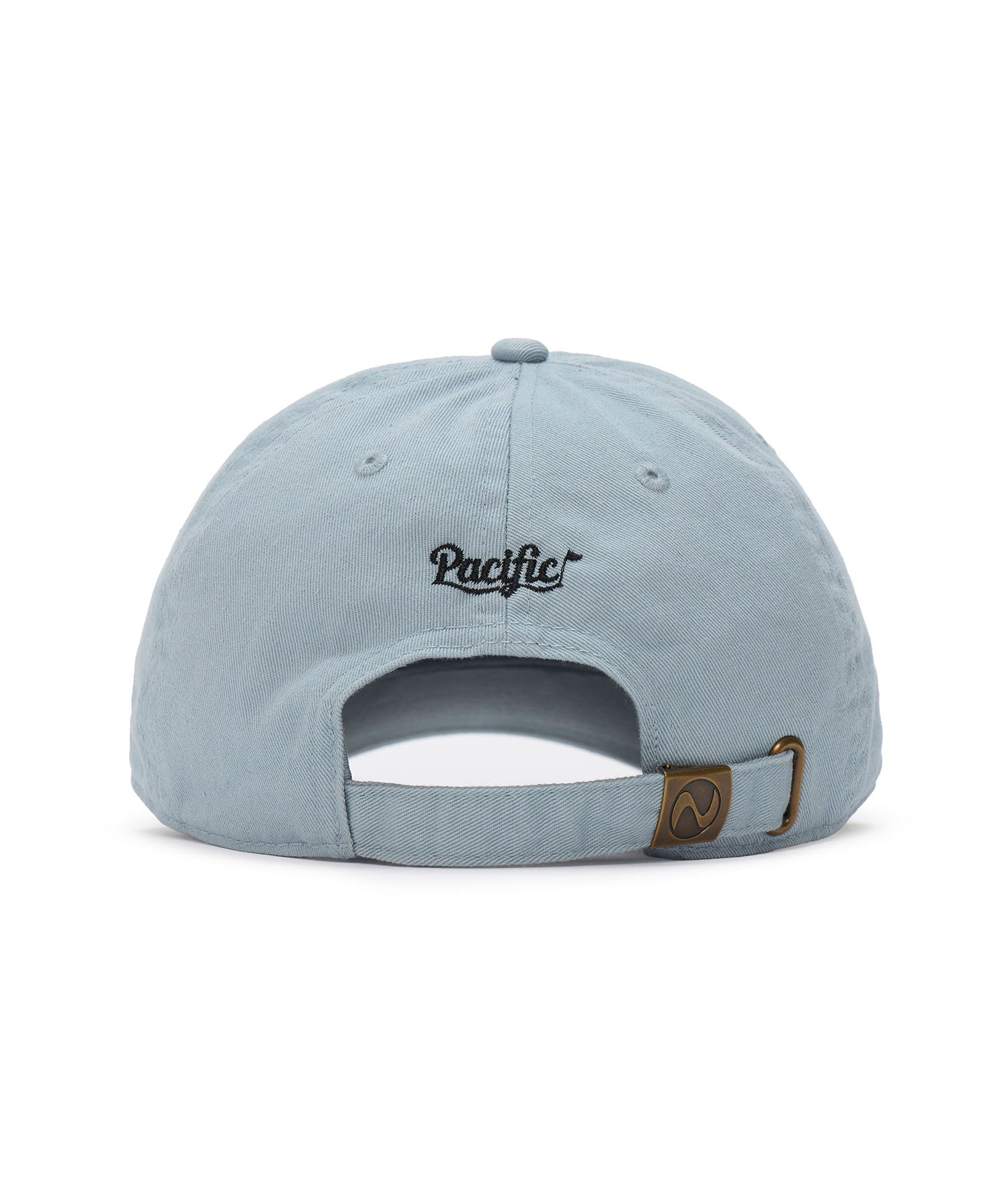 SURFER 6 PANEL CAP 