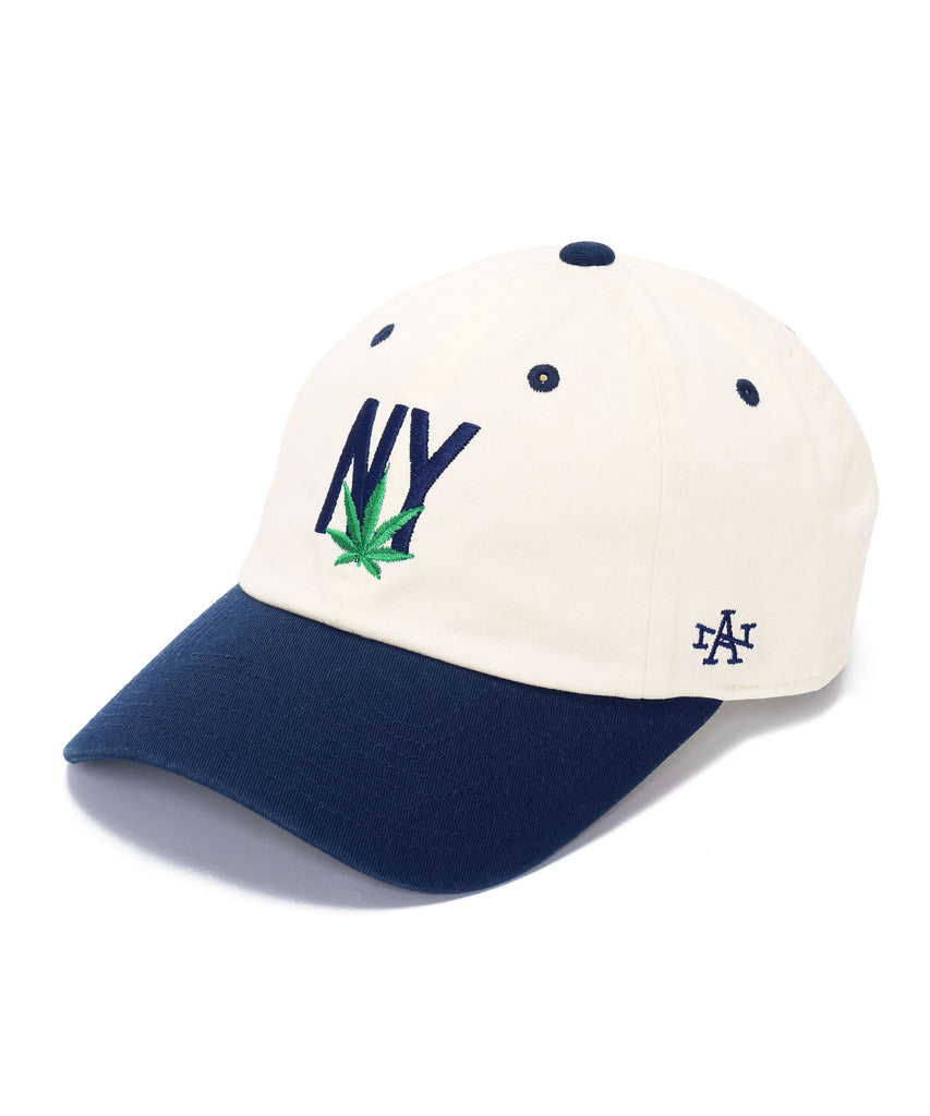 TWO18 シルバー有刺鉄線刺繍 NY コットンキャップ AMERICAN NEEDLE×PGC NY – Pacific GOLF CLUB